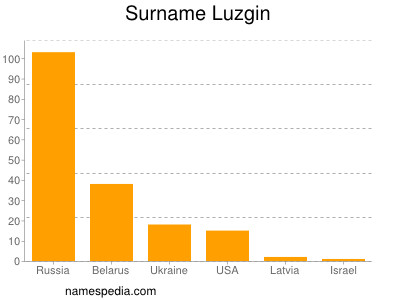 Surname Luzgin