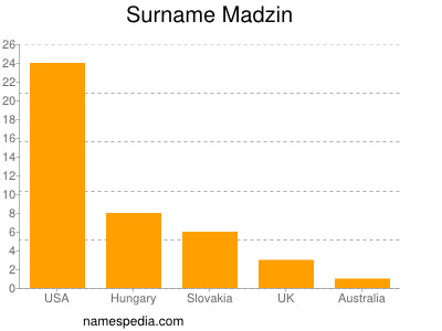Surname Madzin