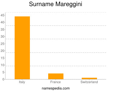 Surname Mareggini
