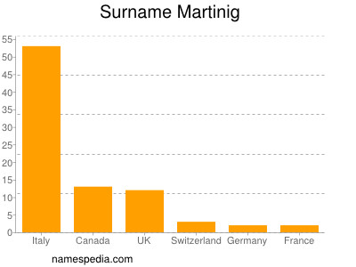 Surname Martinig