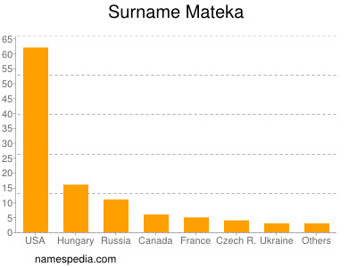 Surname Mateka