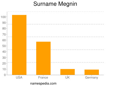 Surname Megnin