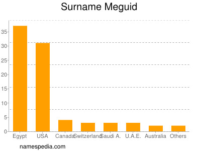 Surname Meguid