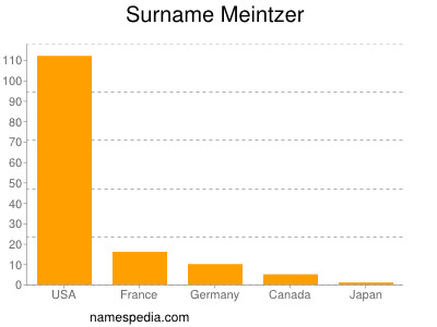 Surname Meintzer