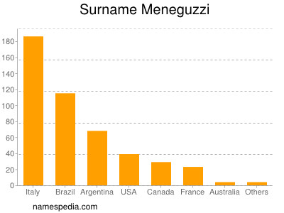 Surname Meneguzzi