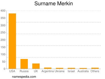 Surname Merkin