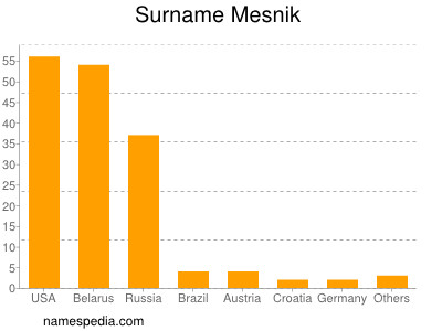 Surname Mesnik