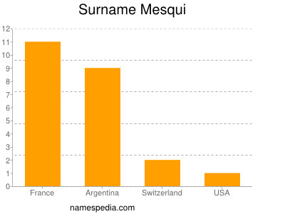 Surname Mesqui