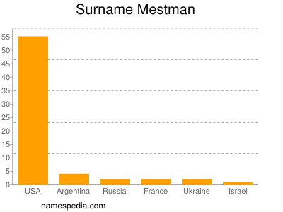 Surname Mestman