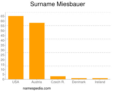 Surname Miesbauer