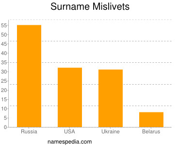 Surname Mislivets