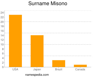 Surname Misono