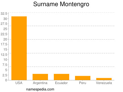 Surname Montengro