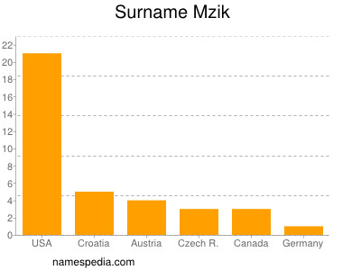 Surname Mzik