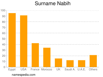 Surname Nabih