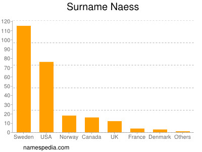 Surname Naess