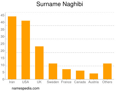 Surname Naghibi