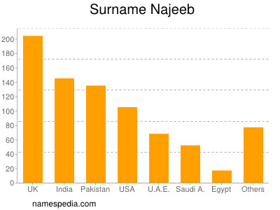 Surname Najeeb