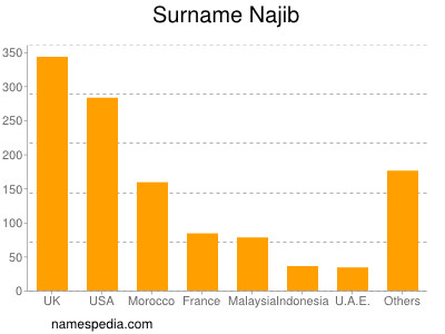 Surname Najib