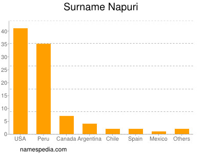 Surname Napuri
