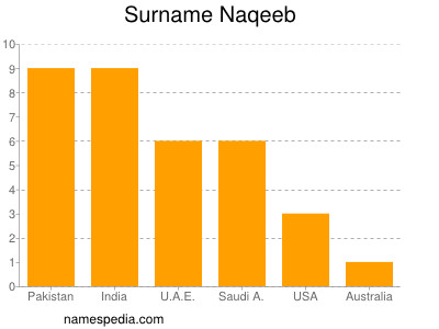 Surname Naqeeb