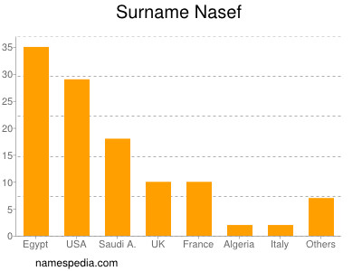 Surname Nasef