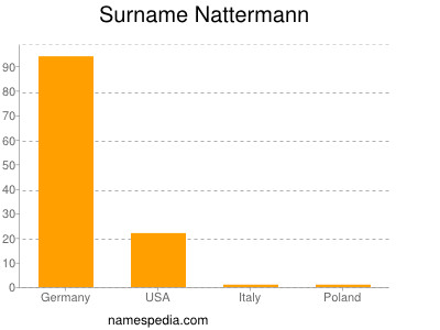 Surname Nattermann