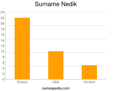 Surname Nedik