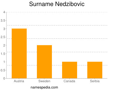 Surname Nedzibovic