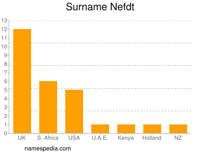Surname Nefdt