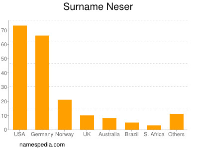 Surname Neser