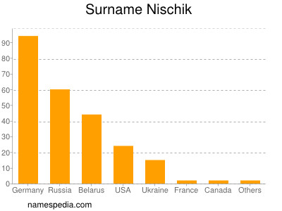 Surname Nischik