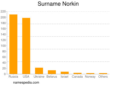 Surname Norkin