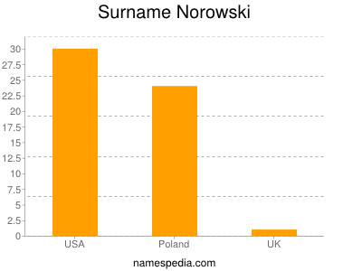 Surname Norowski