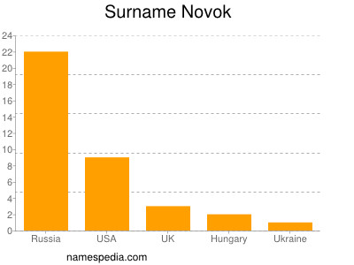 Surname Novok