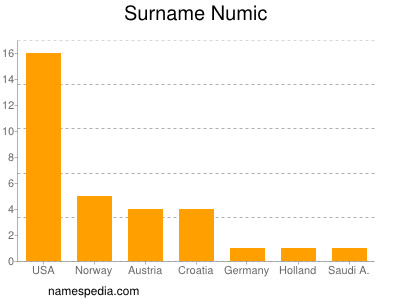Surname Numic