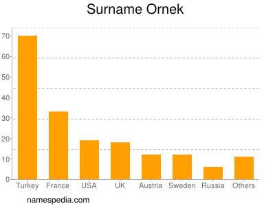 Surname Ornek