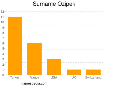 Surname Ozipek