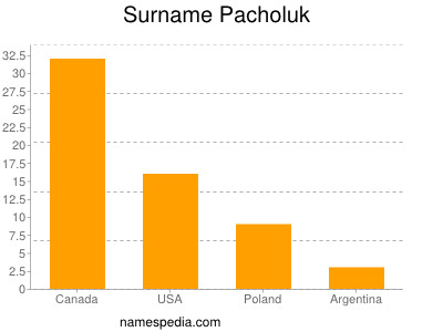 Surname Pacholuk