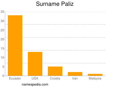 Surname Paliz