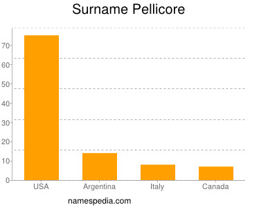Surname Pellicore