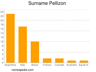 Surname Pellizon