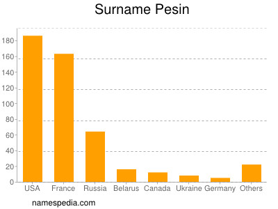 Surname Pesin