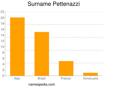 Surname Pettenazzi