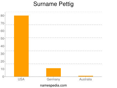 Surname Pettig