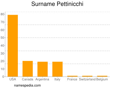 Surname Pettinicchi