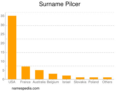 Surname Pilcer