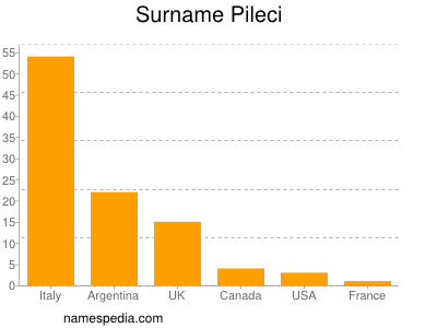 Surname Pileci