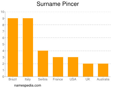 Surname Pincer