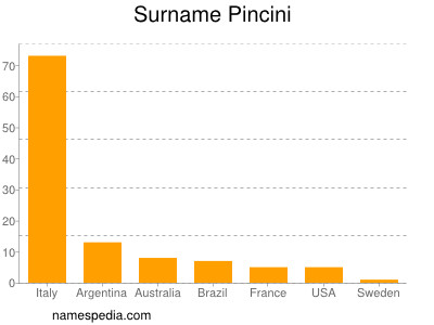 Surname Pincini